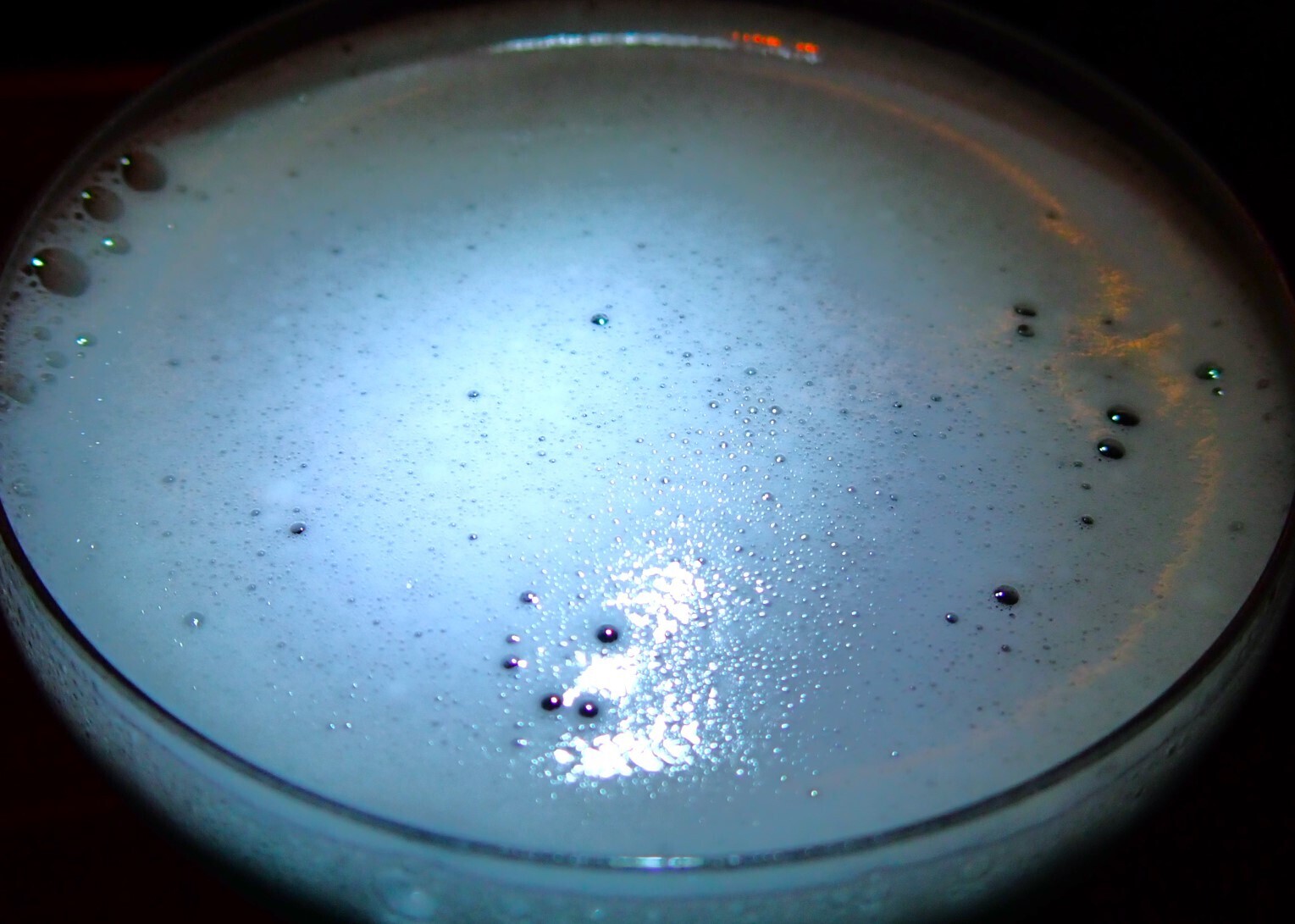 沖縄のバーおすすめ人気第17位:El Lequio