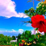 沖縄のガールズバーおすすめ25選！