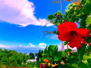 沖縄のガールズバーおすすめ25選！