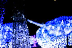 博多のイルミネーションBEST5！