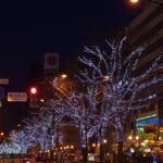 札幌のイルミネーションBEST5!