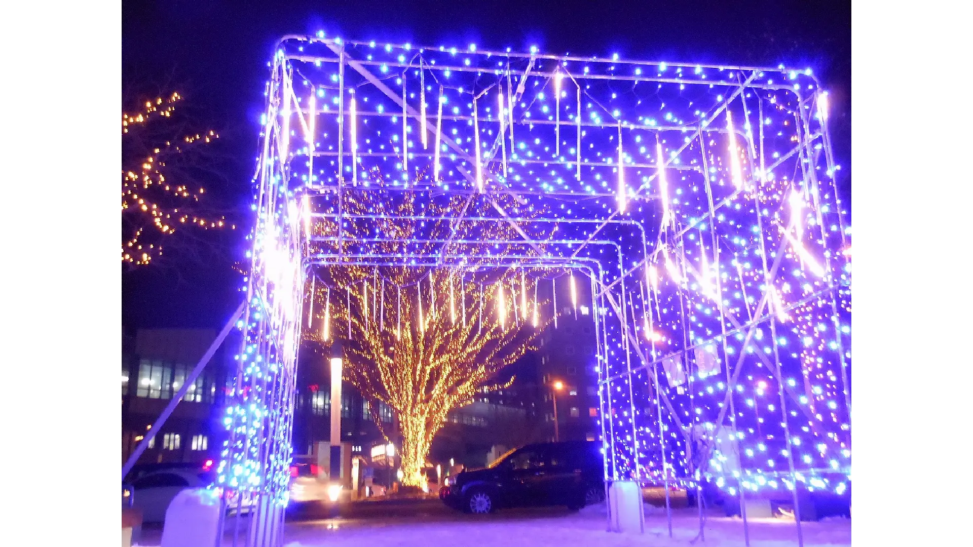 すすきののイルミネーション人気第11位 サッポロガーデンパークウィンターイルミネーション