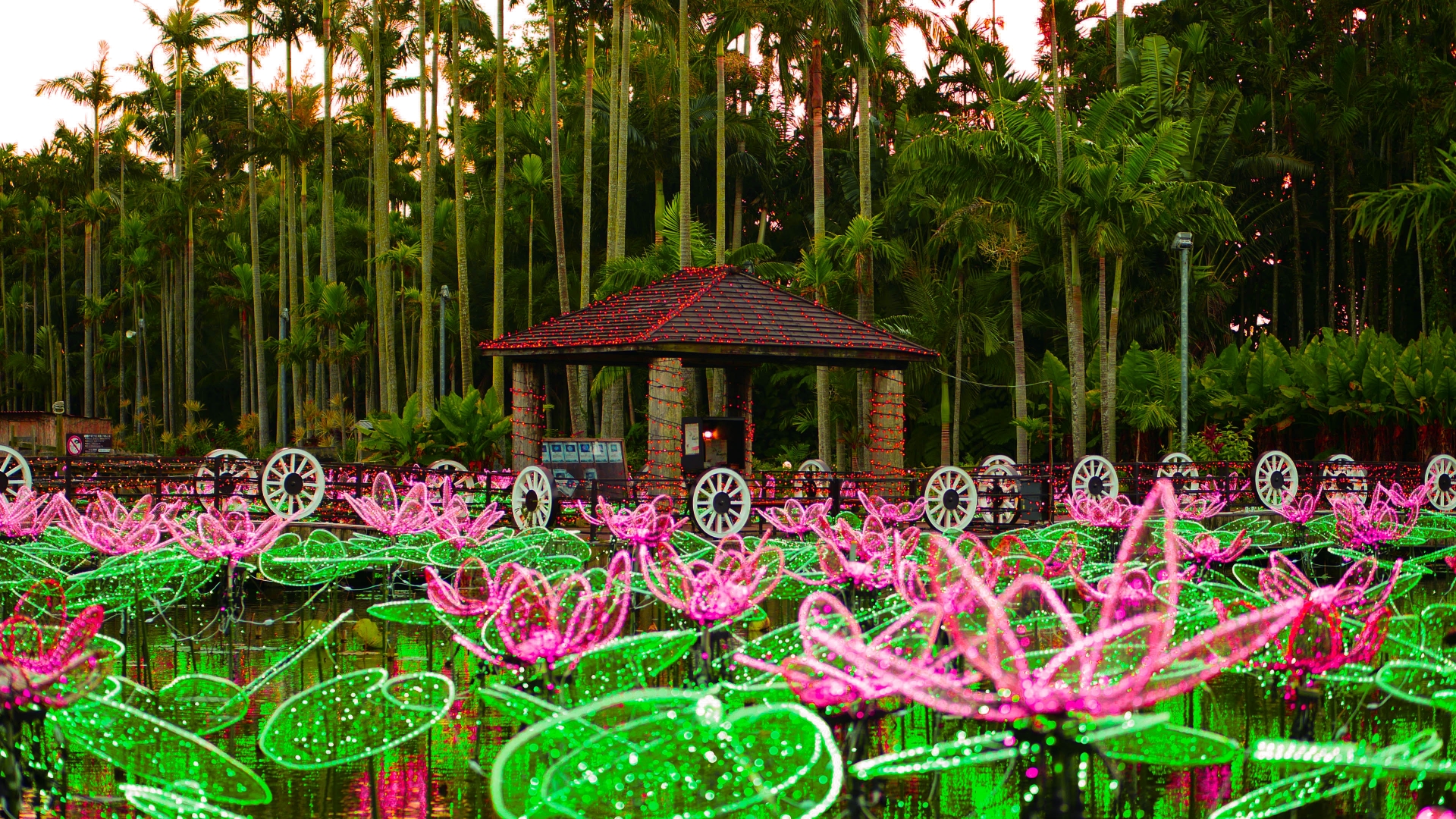 沖縄の夜のデート人気第2位:東南植物楽園