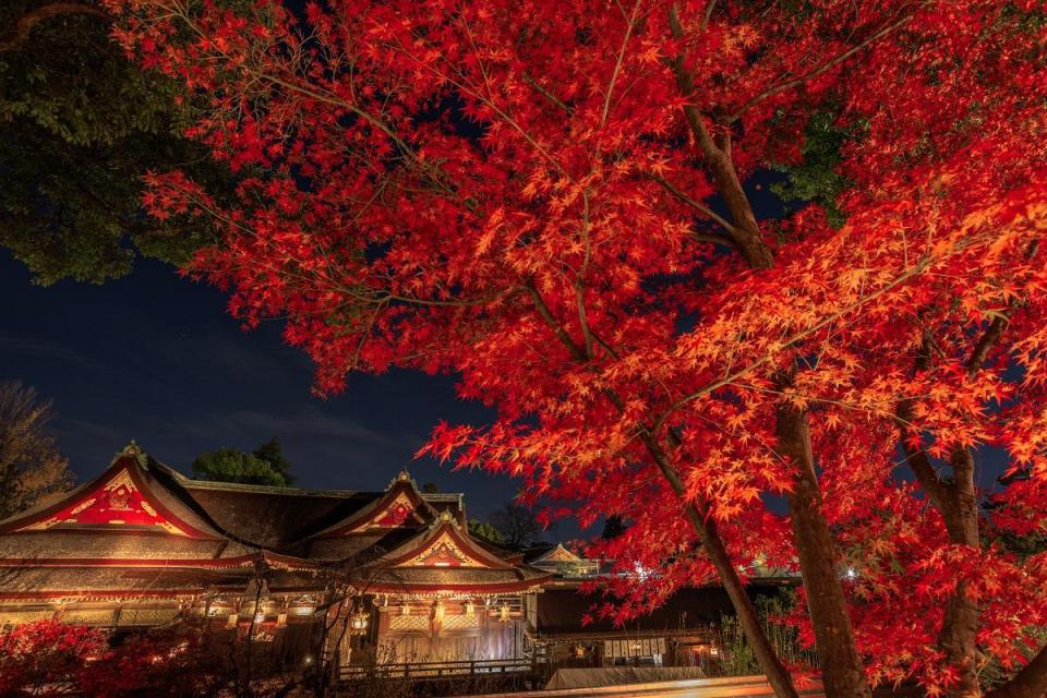 京都の夜景ドライブスポットTOP10　5位　　北野天満宮