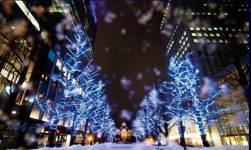 すすきののイルミネーション人気第9位 北3条広場(アカプラ)イルミネーション