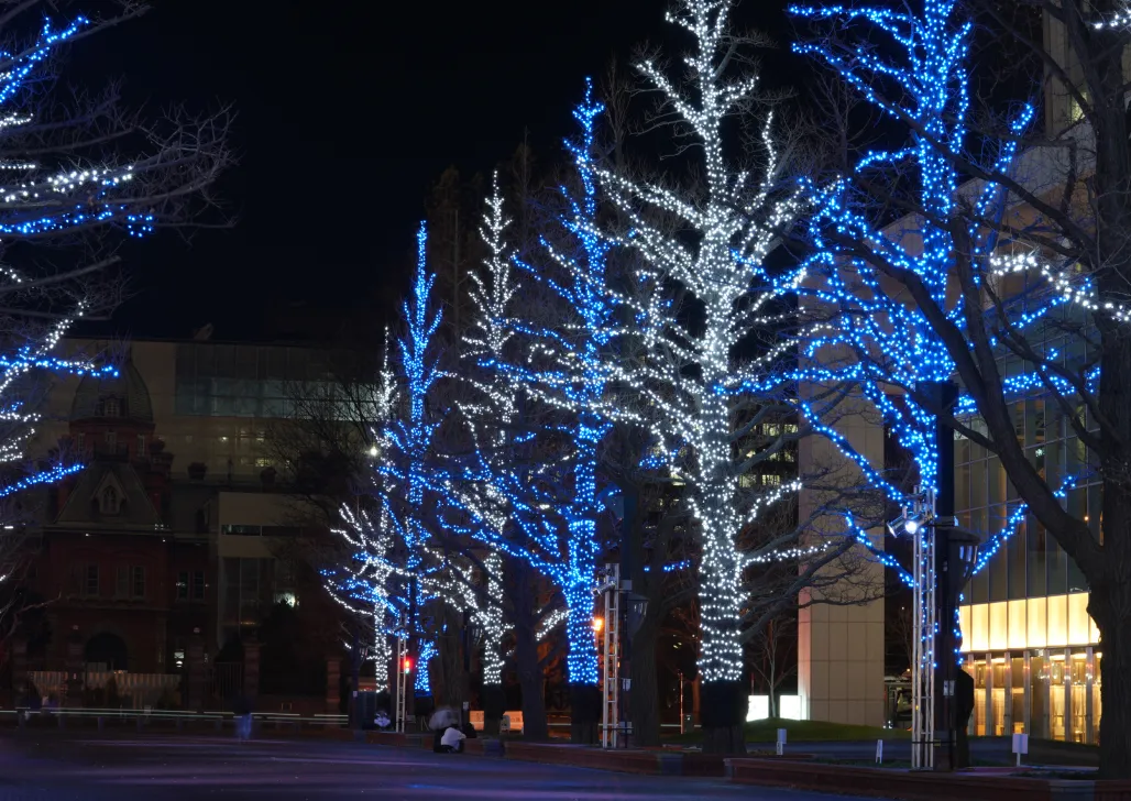 札幌のイルミネーションBEST10第9位　札幌市北3条広場（アカプラ）