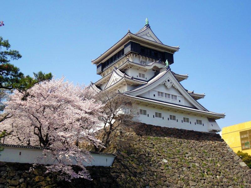 福岡で桜のライトアップを楽しめる場所はどこ？人気の夜桜第7位:勝山公園(小倉城)