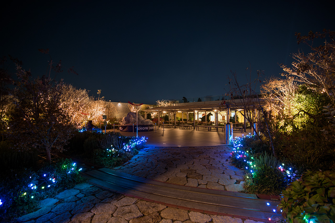 博多の夜遊びスポット11選　4位:つばめの杜ひろば(屋上庭園)