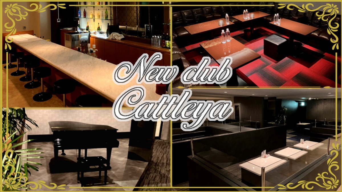 佐賀県のキャバクラ人気第3位:New club cattleya