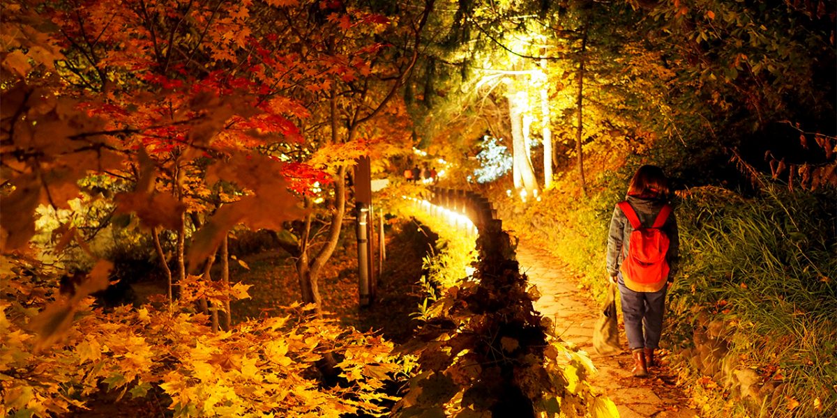 札幌の紅葉のライトアップのおすすめスポット7選　2位:定山渓温泉