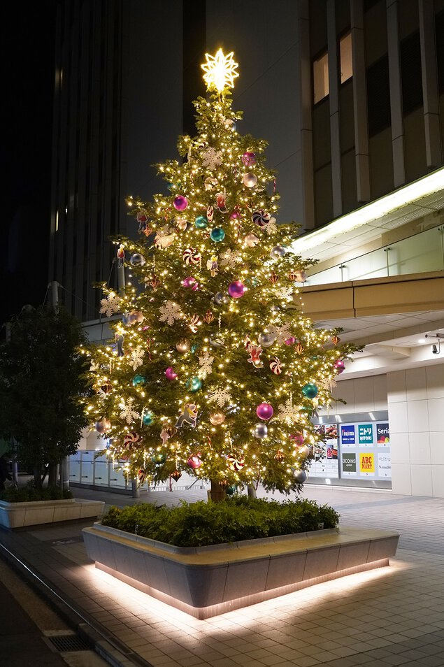 神奈川のイルミネーションのおすすめ20選　18位:TOKYU DEPARTMENT STORE CHRISTMAS