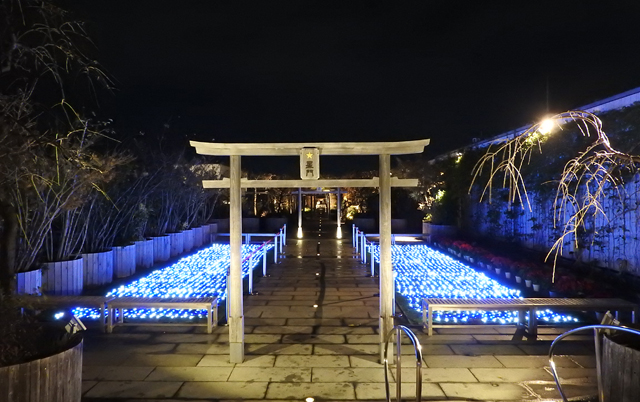 福岡の夜景スポットのおすすめ20選　6位:屋上庭園 つばめの杜ひろば