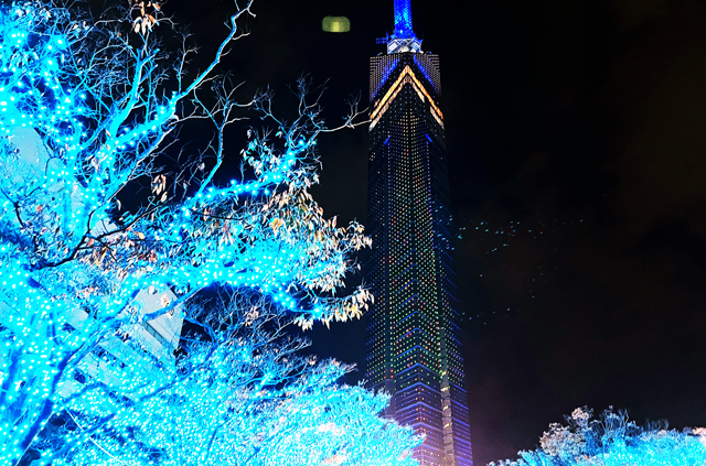 福岡のイルミネーションのおすすめ30選 17位 福岡タワークリスマスイルミネーション