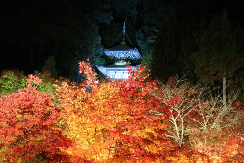 京都の夜景スポットのおすすめ20選　20位:永観堂
