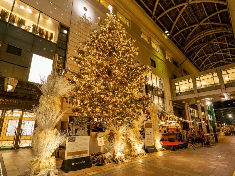 福岡のイルミネーションのおすすめ30選 10位 大丸福岡天神店 White Bless Christmas