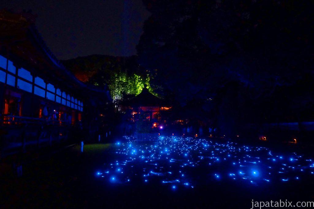 京都の夜景スポットのおすすめ20選　18位:青蓮院門跡