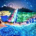 神奈川のイルミネーションTOP20!