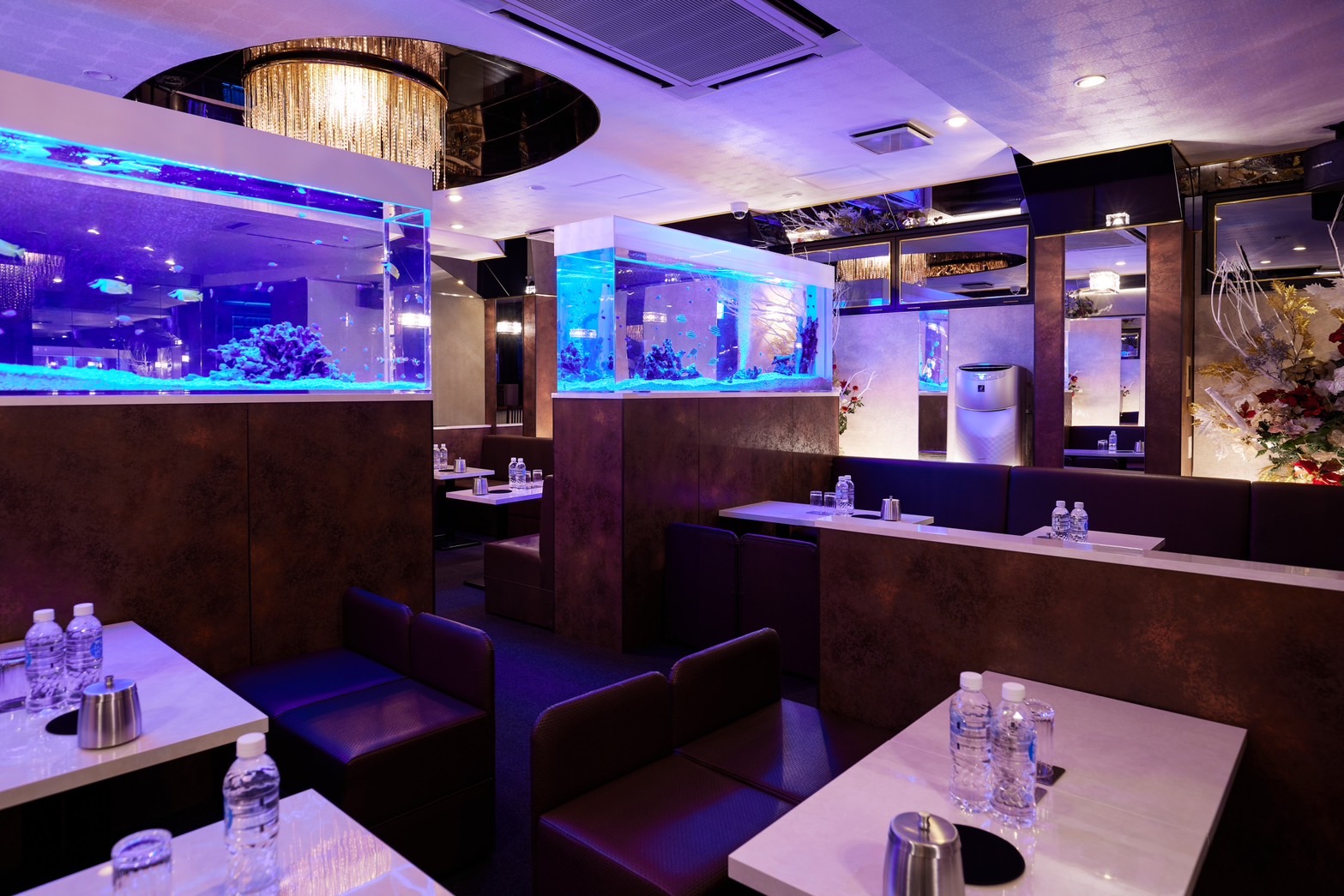 吉祥寺のキャバクラ25選 1位:Club Lilly