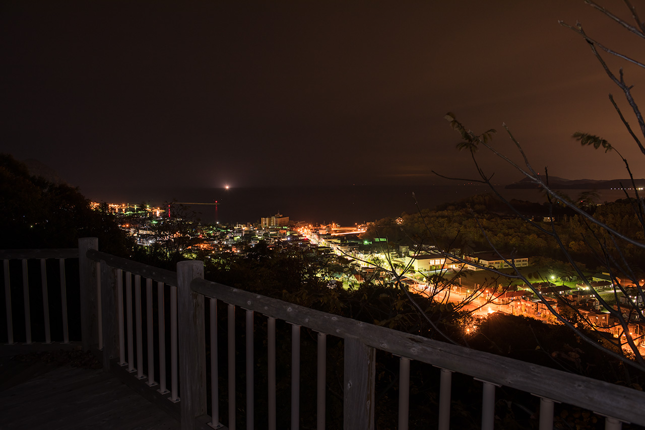 北海道の夜のドライブスポット30選 23位:円山公園