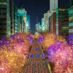 大阪のイルミネーションTOP20!