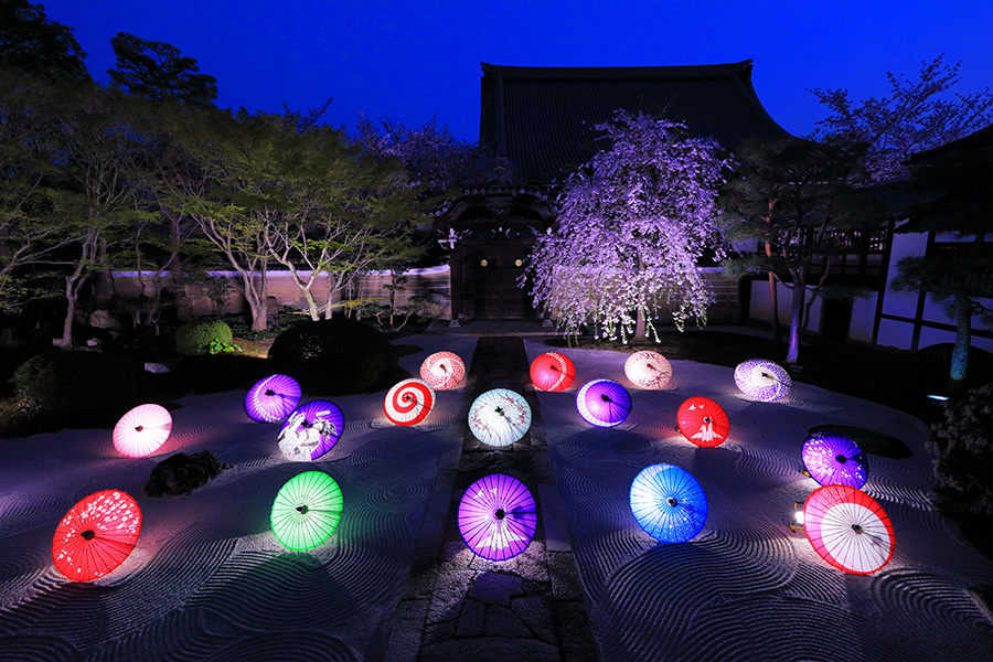 京都の桜のライトアップのおすすめ20選　20位:妙顕寺
