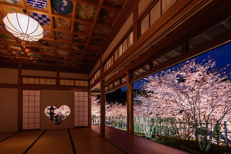 京都の桜のライトアップのおすすめ20選　12位:正寿院