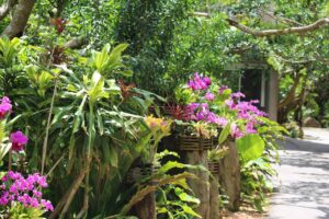 沖縄の遊び場TOP25！