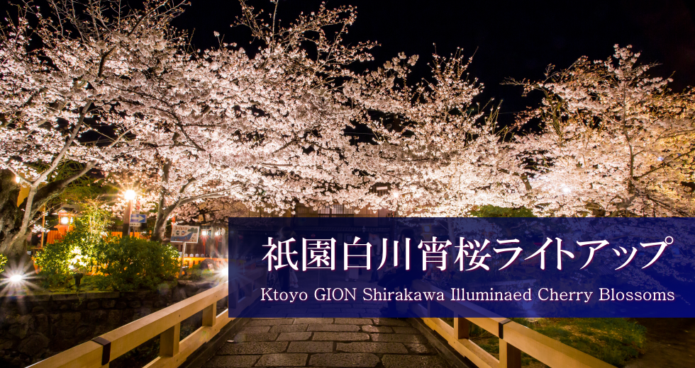 京都の夜景スポットのおすすめ20選　12位:白川筋