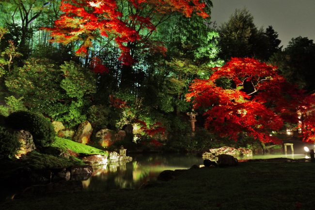 京都の紅葉ライトアップのおすすめ20選　12位:青蓮院