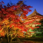 京都の紅葉ライトアップTOP20！【2025年】