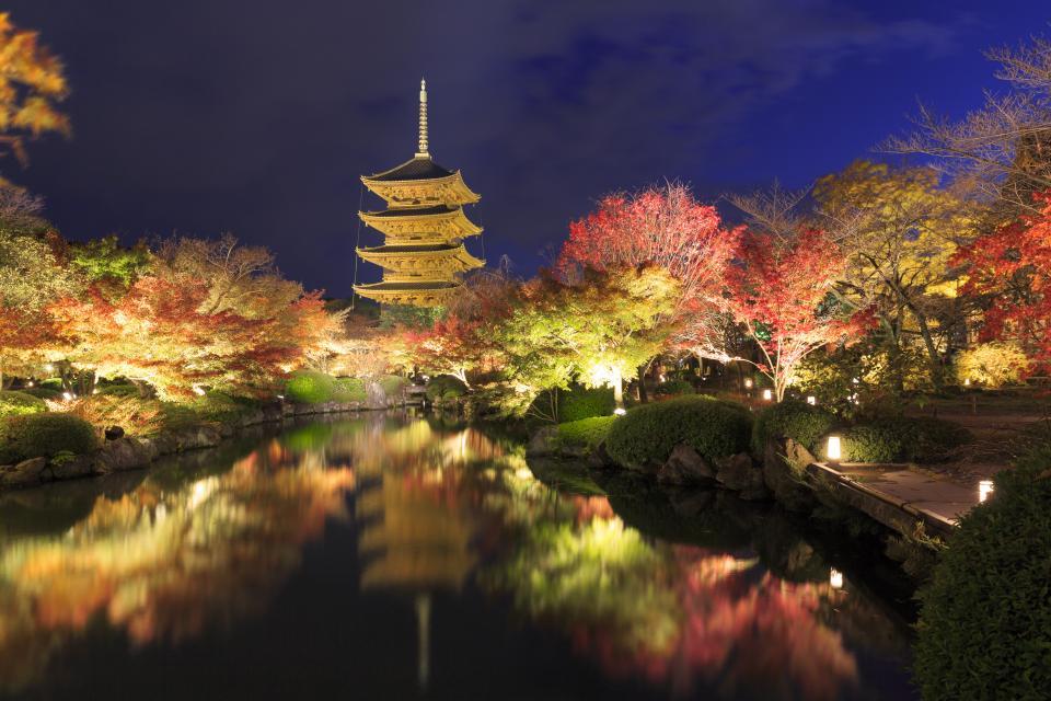 京都の紅葉ライトアップのおすすめ20選　1位:東寺