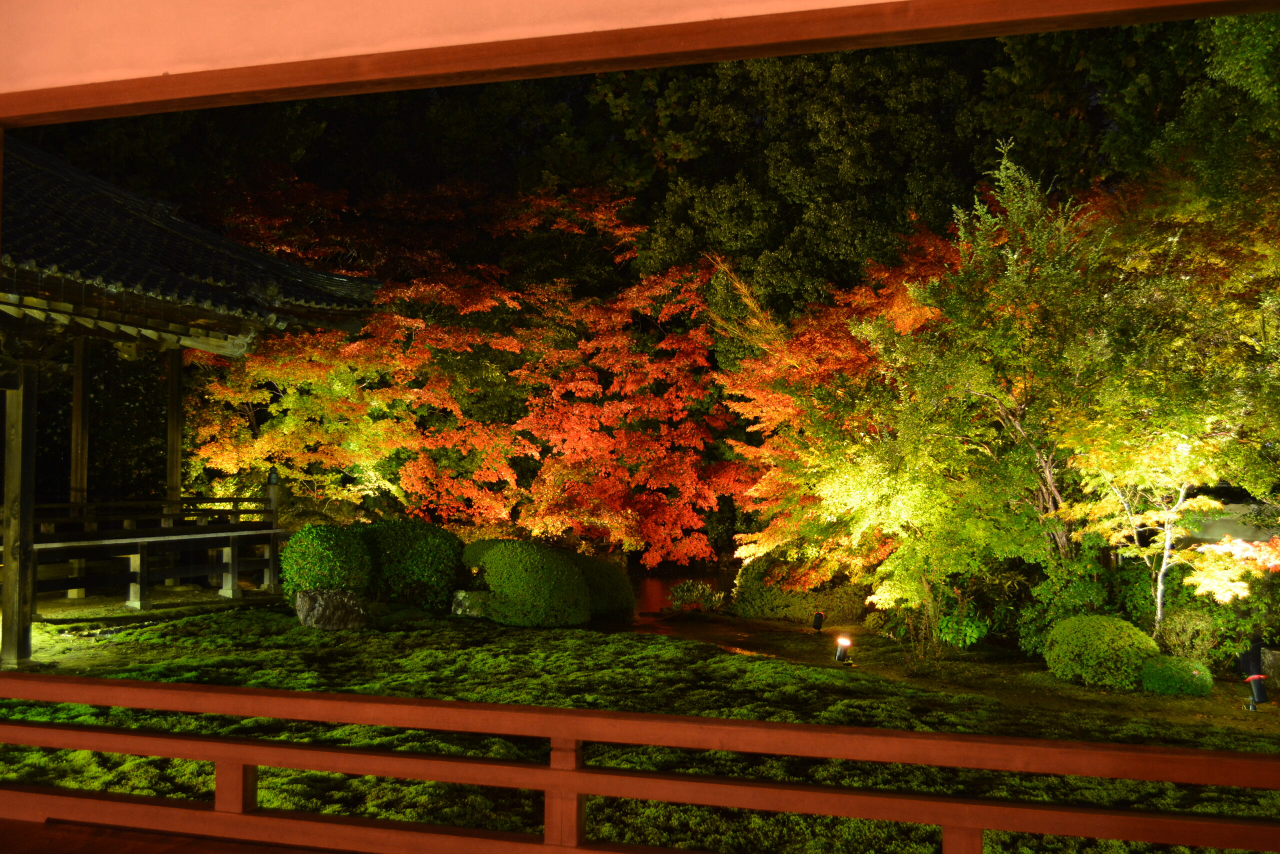 京都の紅葉ライトアップのおすすめ20選　7位:隨心院