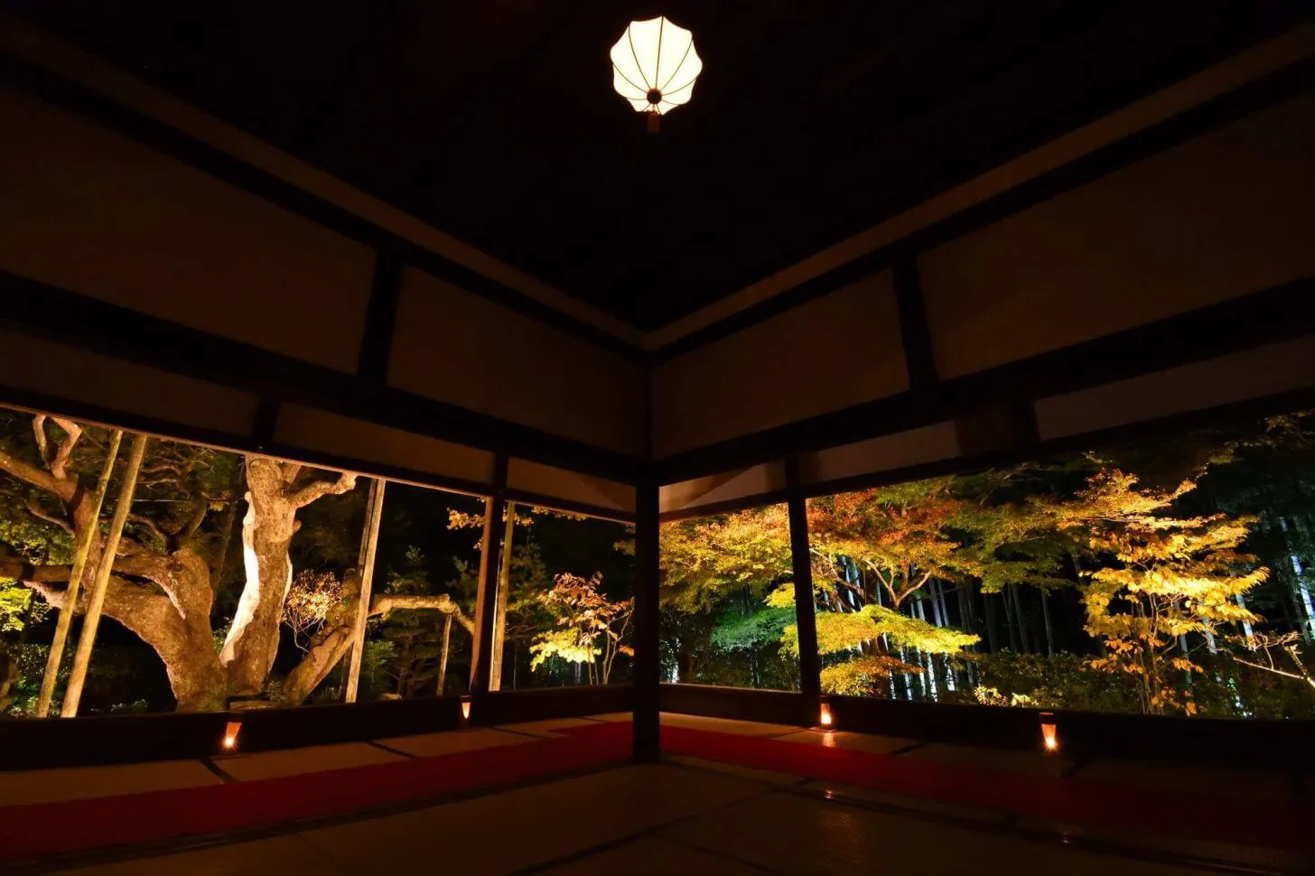 京都の紅葉ライトアップのおすすめ20選　6位:宝泉院