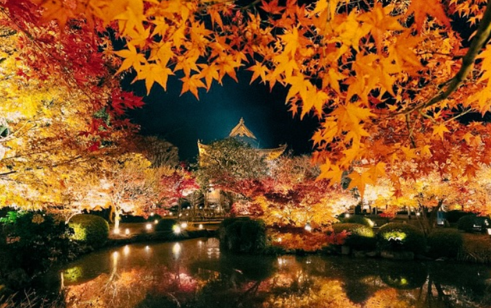 京都の紅葉ライトアップのおすすめ20選　第1位　東寺