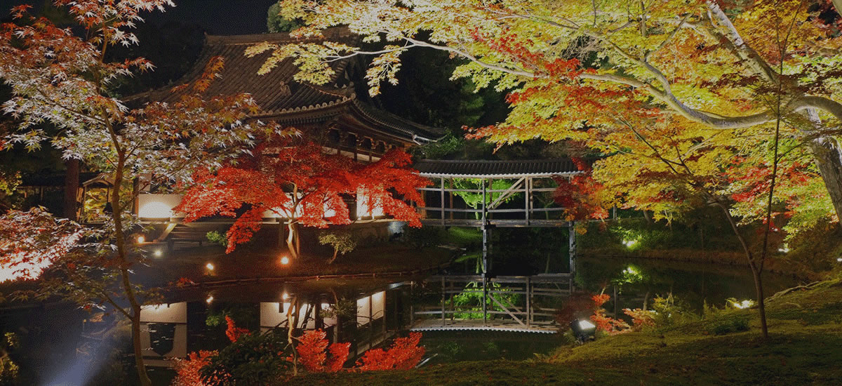 京都の紅葉ライトアップのおすすめ20選　11位:高台寺