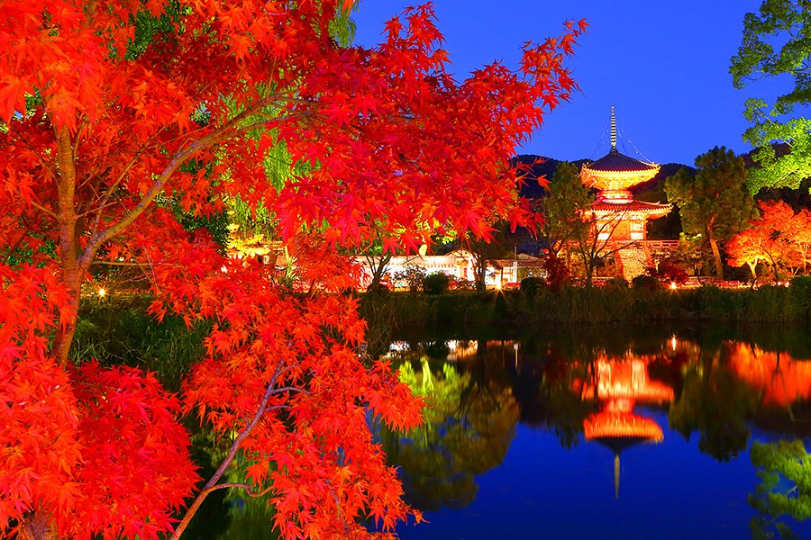 京都の紅葉ライトアップのおすすめ20選　20位:大覚寺
