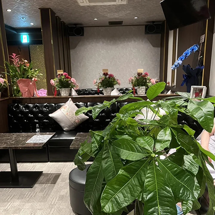 津市のキャバクラ6店 5位:Lounge 華