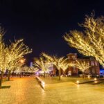 福岡のイルミネーションの穴場TOP20!