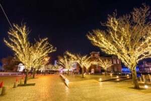 福岡のイルミネーションの穴場TOP20！