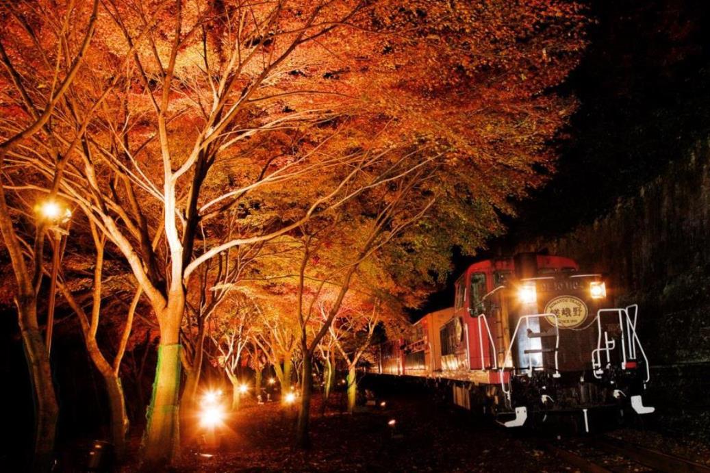 京都の紅葉ライトアップのおすすめ20選　10位:嵯峨野トロッコ列車
