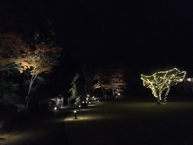 神奈川の紅葉ライトアップのおすすめ15選　9位:小田急 箱根ハイランドホテル