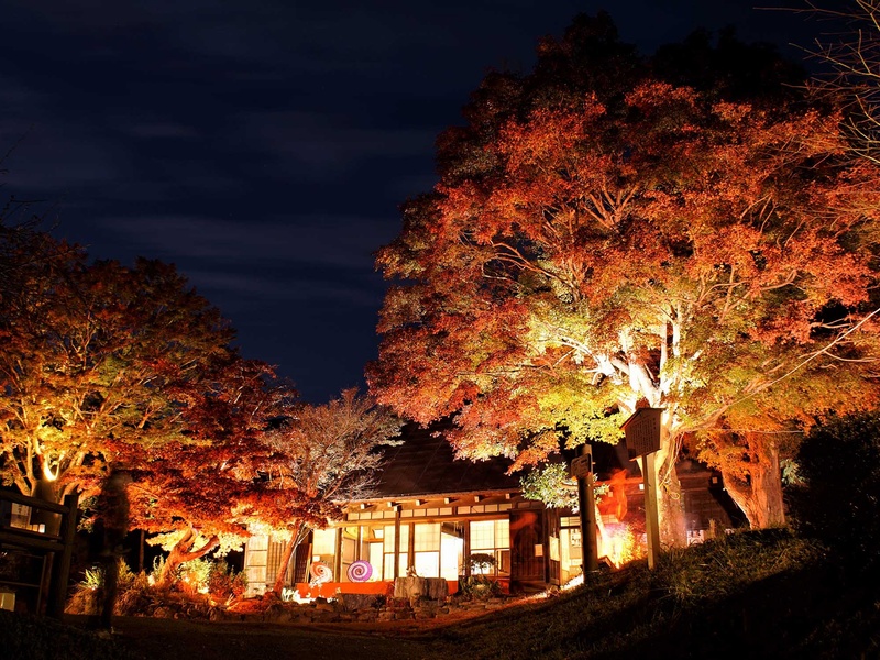 神奈川の紅葉ライトアップのおすすめ15選　14位:蓑毛自然観察の森・緑水庵