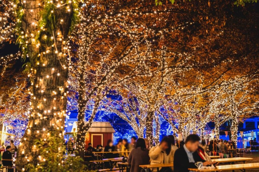 福岡のイルミネーションの穴場25選　25位:天神中央公園