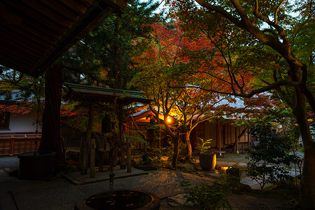 神奈川の紅葉ライトアップのおすすめ15選　4位:覚園寺