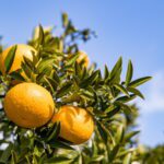 愛媛県のキャバクラ20選!