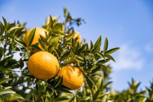 愛媛県のキャバクラ20選！