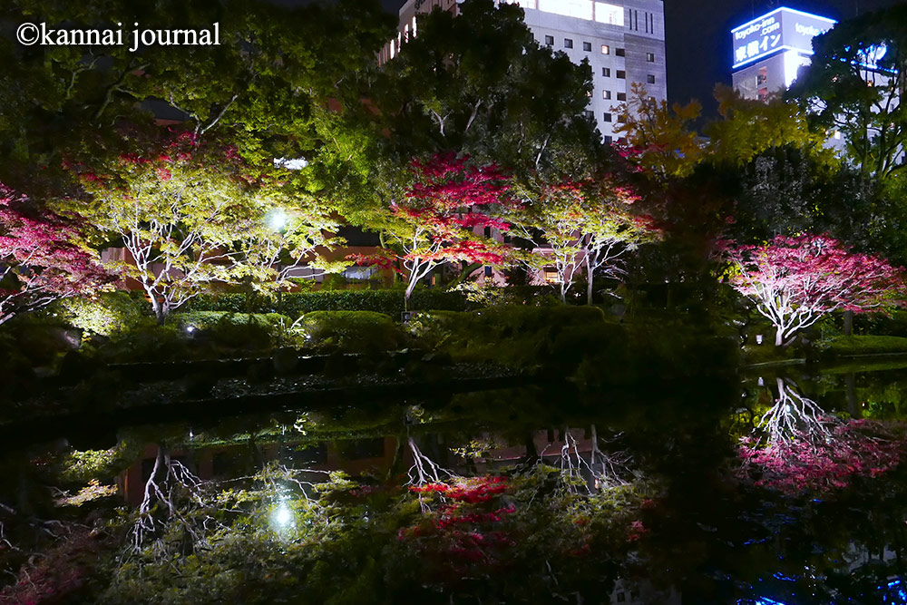 神奈川の紅葉ライトアップのおすすめ15選　3位:横浜公園