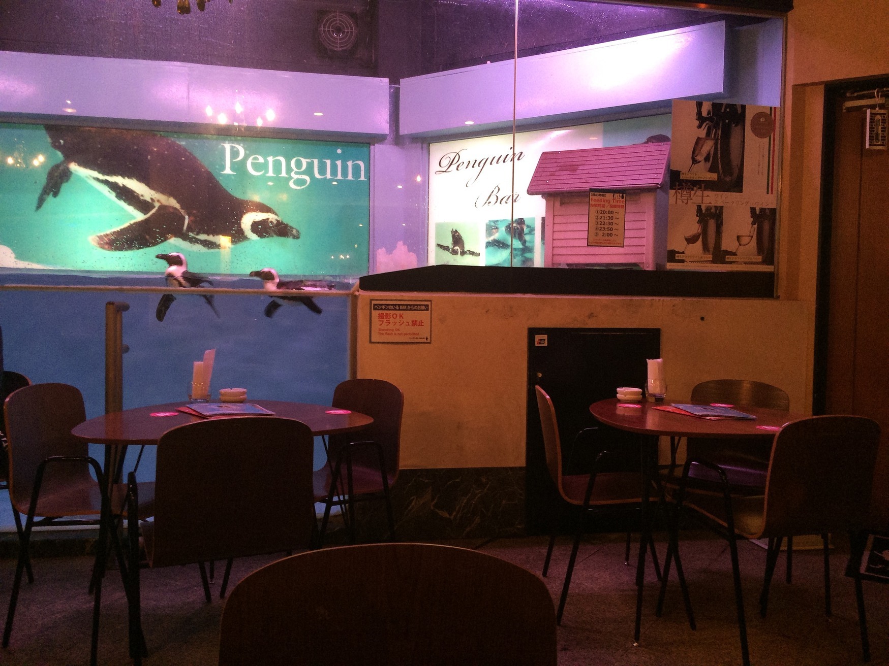 沖縄のバーで一人におすすめのバー20選　4位:Penguin Bar Fairy
