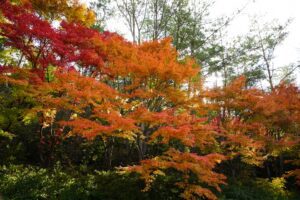 岡山中央町のキャバクラ20選！