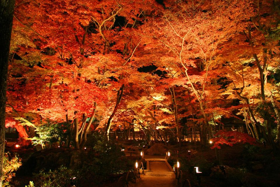 京都の夜遊びスポット20選  12位　宝厳院